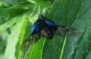 Thumbnail 433077 B
