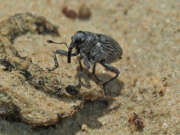 Thumbnail 433149 B