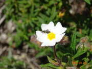Thumbnail 435060 B