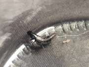 Thumbnail 435511 B