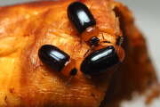 Thumbnail 435563 B