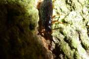 Thumbnail 435814 B