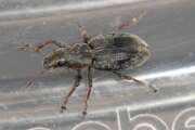 Thumbnail 436710 B