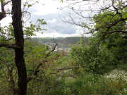 Thumbnail 437794 B