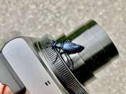 Thumbnail 438467 B
