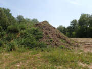Thumbnail 438503 B