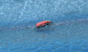 Thumbnail 60884 A