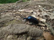 Thumbnail 63857 A