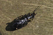 Thumbnail 64341 B