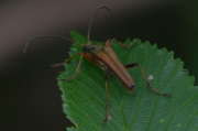 Thumbnail 68614 A