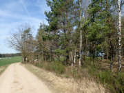 Thumbnail 90890 B