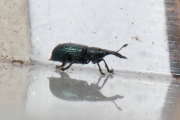 Thumbnail 93015 B