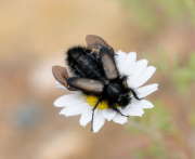 Thumbnail 97743