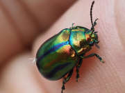 Thumbnail 110923 B