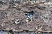 Thumbnail 120528 A