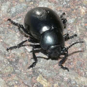 Thumbnail 122823 B