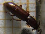 Thumbnail 122969