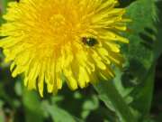 Thumbnail 124346 B