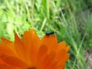 Thumbnail 134208 B