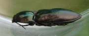 Thumbnail 140306 B
