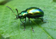 Thumbnail 151710 B