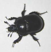 Thumbnail 169995