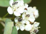 Thumbnail 178557