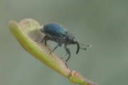 Thumbnail 178963 B