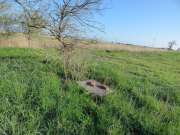 Thumbnail 184426 B