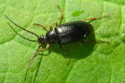 Thumbnail 186549