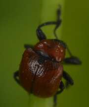 Thumbnail 189563 B