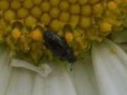 Thumbnail 192594 B
