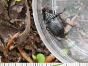 Thumbnail 192826 B