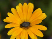 Thumbnail 193867 B
