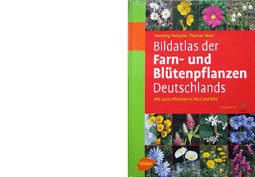 Bildatlas der Farn- und Blütenpflanzen Deutschlands