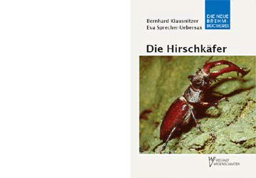 Die Hirschkäfer