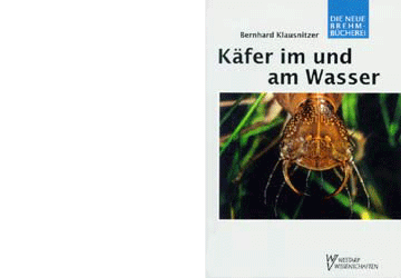 Käfer im und am Wasser