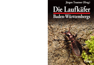 Die Laufkäfer Baden-Württembergs