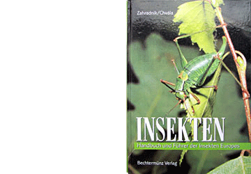 Insekten - Handbuch und Führer der Insekten Europas