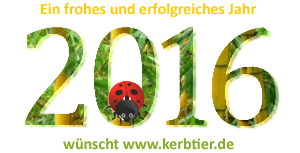 Neues Jahr 2016