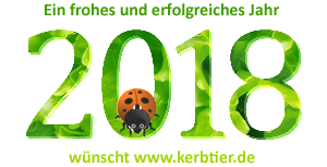 Neues Jahr 2018