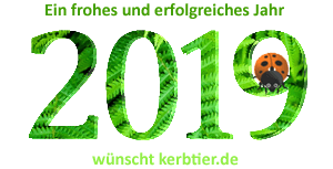 Neues Jahr 2019