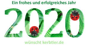 Neues Jahr 2020