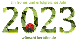 Neues Jahr 2023