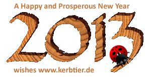 New Year 2013