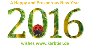 New Year 2016