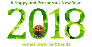 New Year 2018