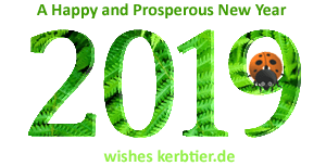 New Year 2019