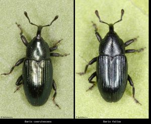 Photo comparison 1576fda3c7