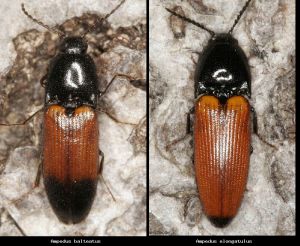 Photo comparison 51fc4bc4a8